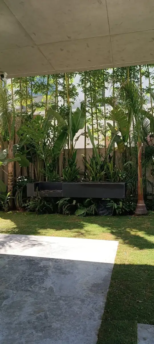 Jardin bambou et fontaine