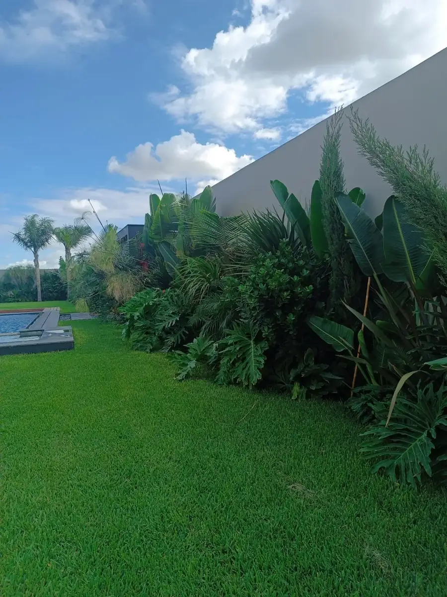 Jardin tropical gazon et palmiers